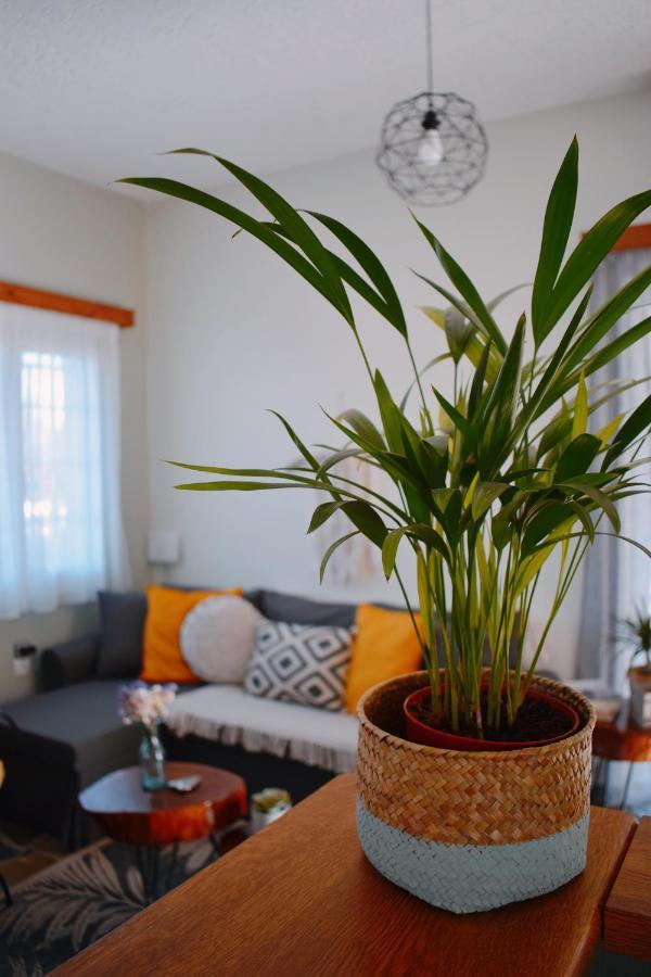 Elia'S House Traditional & Cozy By 8Essentially Kalyves Exterior foto